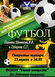 Открытое первенство по футболу, посвященное памяти Шевякова В.В. и Губарева С.Г.