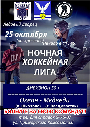 Ночная хоккейная лига - ДИВИЗИОН 50+