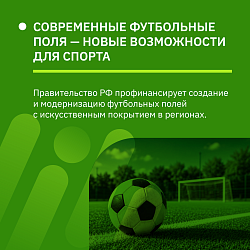 Правительство выделит регионам по 1,5 млрд рублей ежегодно на новые футбольные поля