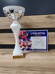 Хоккеисты Большого Камня взяли Кубок Восточного порта, став золотыми призерами турнира по хоккею среди команд 2012–2013 гг.* 